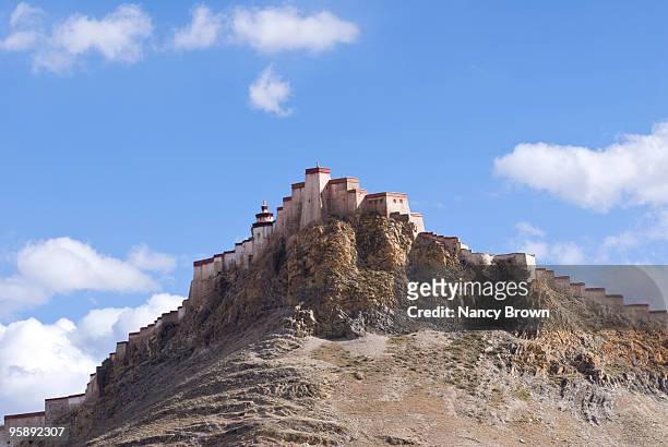 fort dzong in gyantse tibet china - gyantsé photos et images de collection