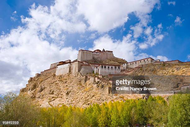 fort dzong in gyantse tibet china - gyantsé photos et images de collection
