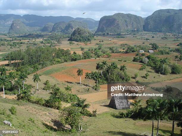 view of the valley, cuba - vinales stock pictures, royalty-free photos & images