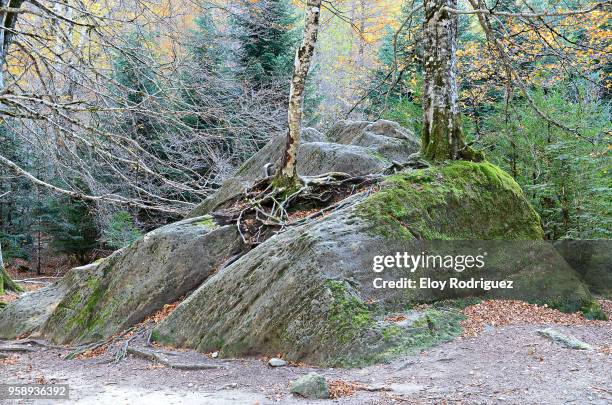 parque nacional de ordesa y monte perdido - parque natural stock-fotos und bilder