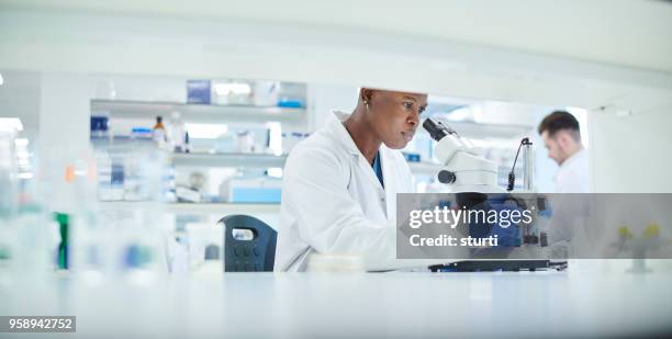 research lab - black woman in lab stock pictures, royalty-free photos & images