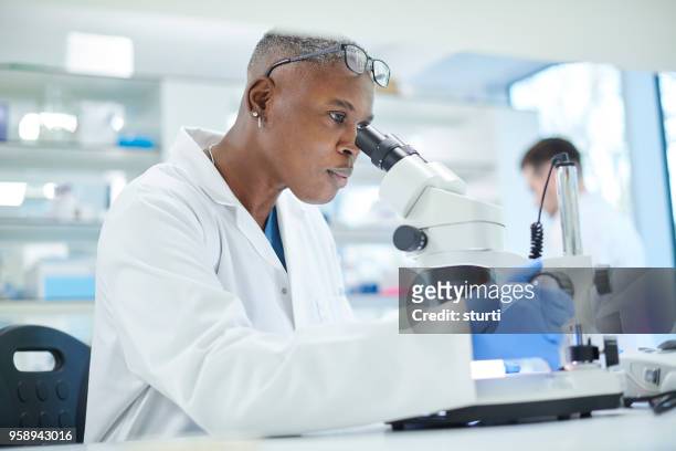 female scientist in a busy research lab - black woman in lab stock pictures, royalty-free photos & images