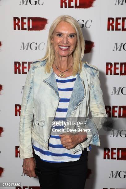 Anneka Rice attends the press night after party for "Red" at The National Cafe on May 15, 2018 in London, England.
