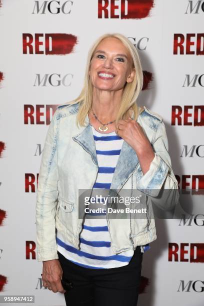 Anneka Rice attends the press night after party for "Red" at The National Cafe on May 15, 2018 in London, England.