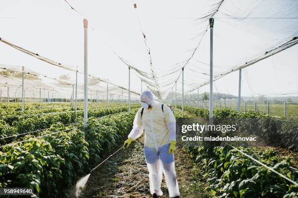 agricultural worker takes care of his estate - spraying weeds stock pictures, royalty-free photos & images