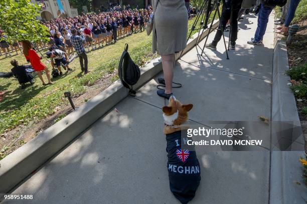 Dog named Pippin wears an honorary shirt as students at Immaculate Heart High School and Middle school participate in a program to honor alumna...