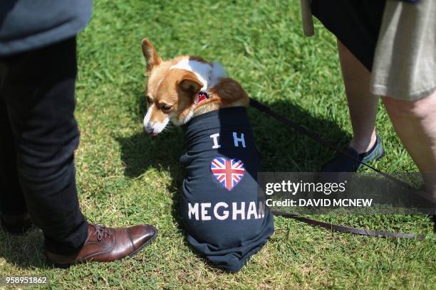 Dog named Pippin wears an honorary shirt as students at Immaculate Heart High School and Middle school participate in a program to honor alumna...