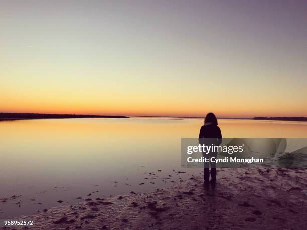 a visit to assateague island at sunset - insel chincoteague island stock-fotos und bilder