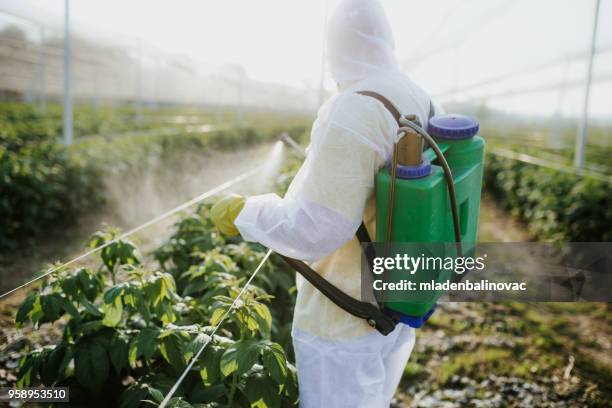 landarbeiter kümmert sich um seinen nachlass - insecticide stock-fotos und bilder