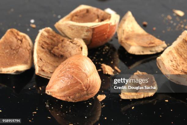 Exploded Hazelnut Crushed Hazelnuts Photos and Premium High Res Pictures - Getty Images