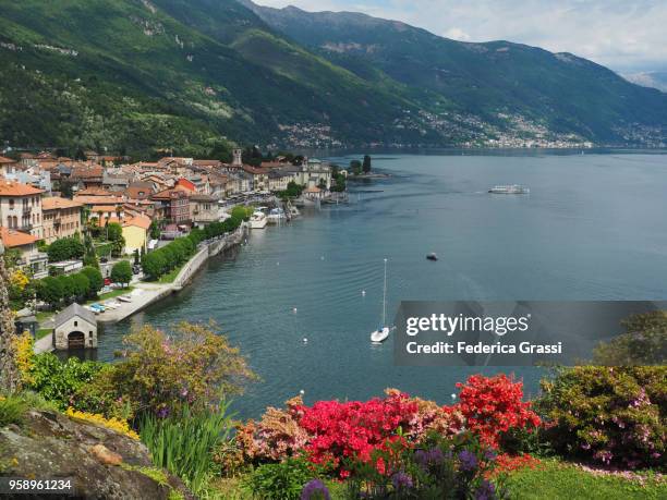 springtime on lake maggiore, northern italy - lago maggiore stock-fotos und bilder