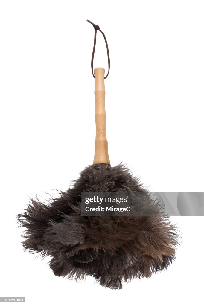 Ostrich Feather Duster