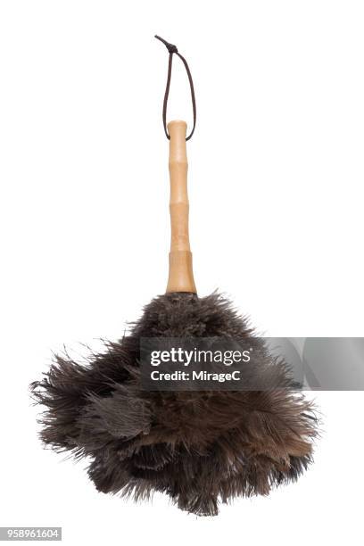 ostrich feather duster - feather duster stock pictures, royalty-free photos & images