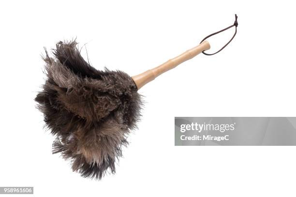 ostrich feather duster - pena de avestruz - fotografias e filmes do acervo