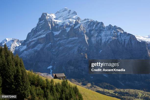 elevated view from first gondola to grindelwald valley, swiss alps - wetterhorn stock pictures, royalty-free photos & images