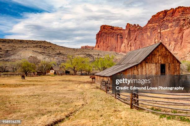 fruita is currently the heart and administrative center of capitol reef national park, utah. - country western outside stock pictures, royalty-free photos & images