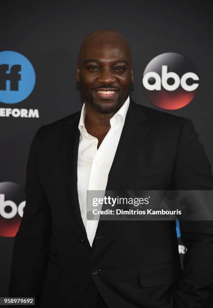 Actor Adewale Akinnuoye-Agbaje of The Fix attends during 2018 Disney, ABC, Freeform Upfront at Tavern On The Green on May 15, 2018 in New York City.