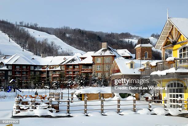 winter white - alpine skiing stock pictures, royalty-free photos & images