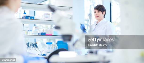 biochemist discussion - microplate stock pictures, royalty-free photos & images