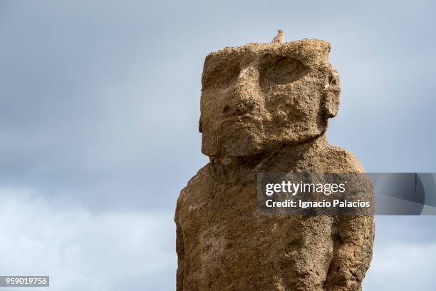 anakena, rapa nui national park - ignacio palacios stock pictures, royalty-free photos & images