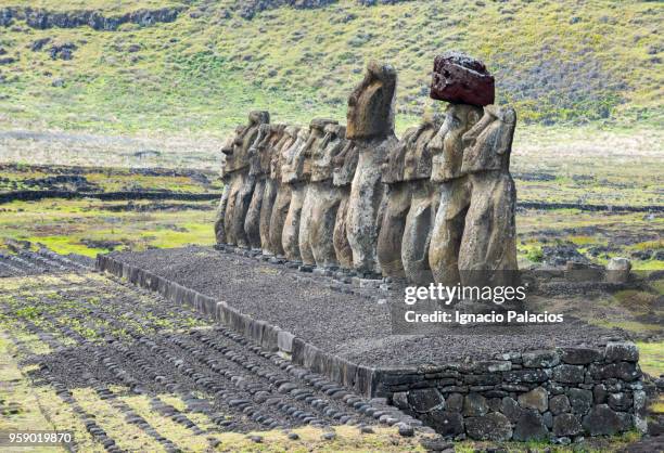 tongariki moais (statues), rapa nui national park - ignacio palacios stock pictures, royalty-free photos & images