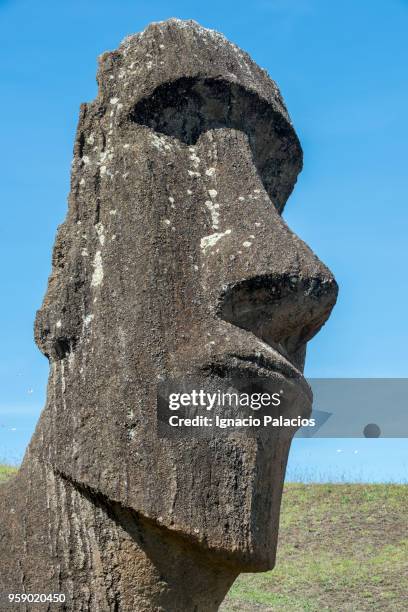 rano raraku moais, rapa nui national park - ignacio palacios stock pictures, royalty-free photos & images