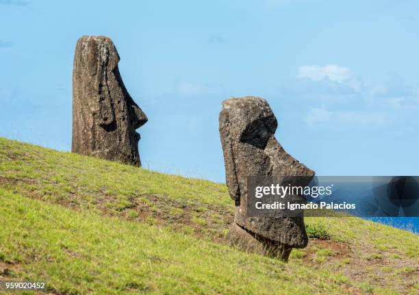 rano raraku moais, rapa nui national park - ignacio palacios stock pictures, royalty-free photos & images