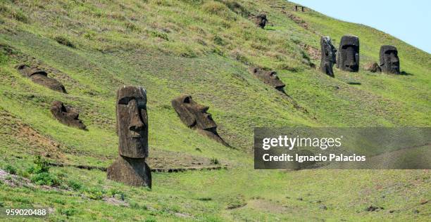 rano raraku moais, rapa nui national park - ignacio palacios stock pictures, royalty-free photos & images