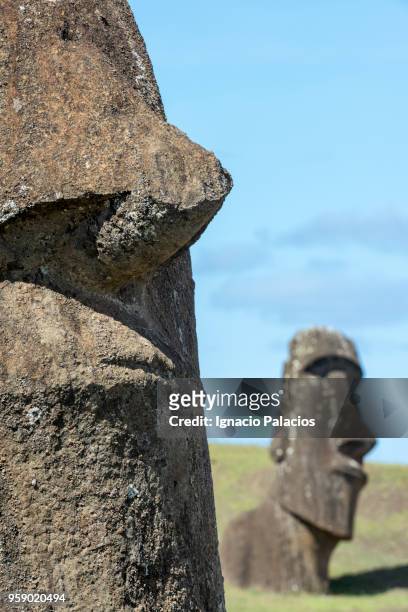rano raraku moais, rapa nui national park - ignacio palacios stock pictures, royalty-free photos & images