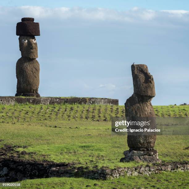 tahai moais, rapa nui national park - ignacio palacios stockfoto's en -beelden