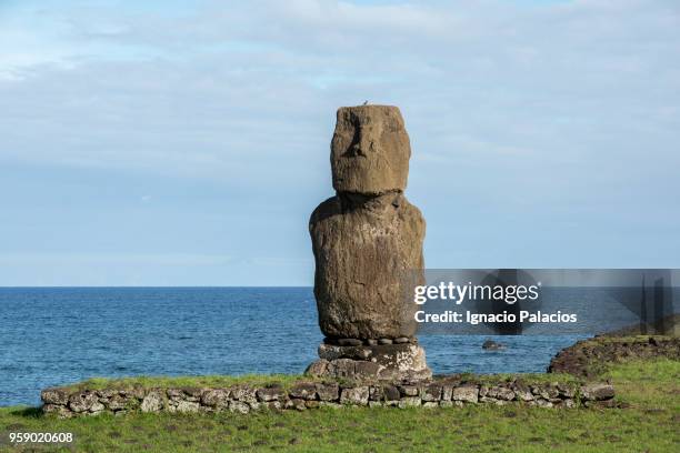 tahai moais, rapa nui national park - ignacio palacios stock pictures, royalty-free photos & images