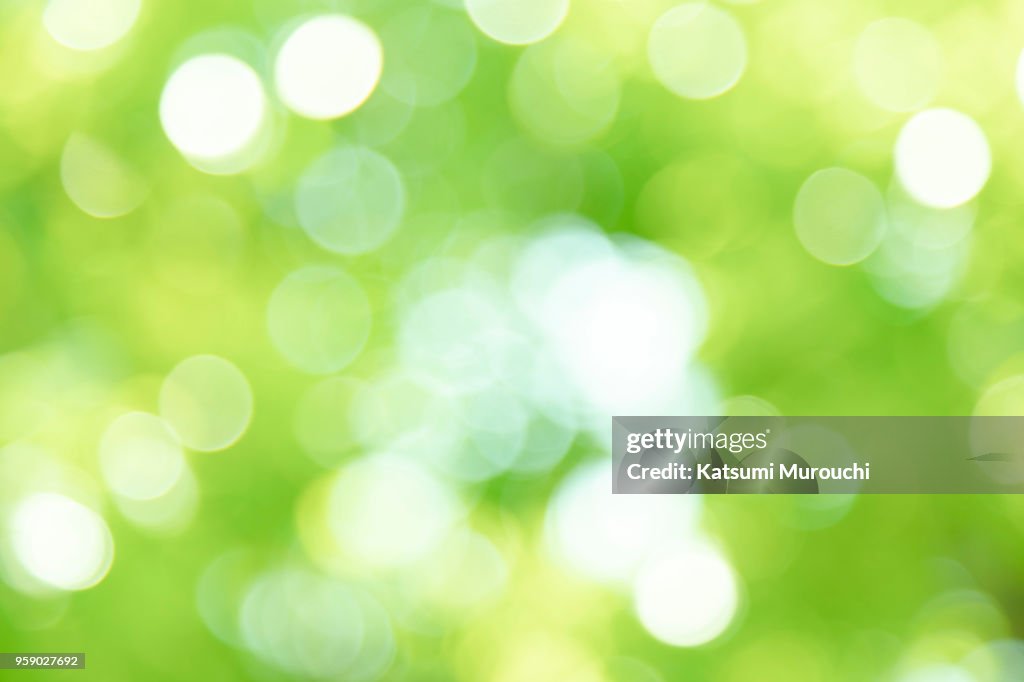 Fresh green blur background