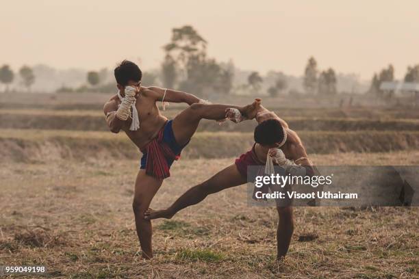 Attack Fight Asian Fighting Action Photos and Premium High Res Pictures - Getty Images