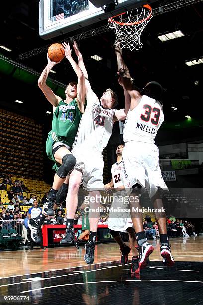 Luke Nevill and Carlos Wheeler of the Utah Flash go up to block Cezary Trybanski of the Reno Bighorns at McKay Events Center on January 20, 2010 in...