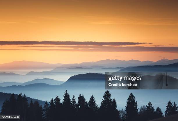 foggy sunset - landscape in silhouette stock pictures, royalty-free photos & images