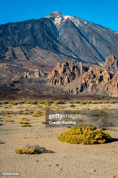 landscape with mount teide, volcano teide and lava scenery in teide national park - tenerife,spain - pico de teide stock pictures, royalty-free photos & images
