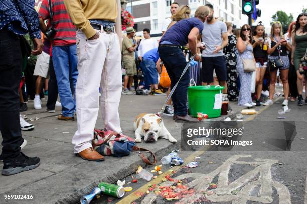 Tired dog rests beside the road on the second and final day of the 2016 Notting Hill Carnival in west Londonby some accounts the 50th anniversary of...