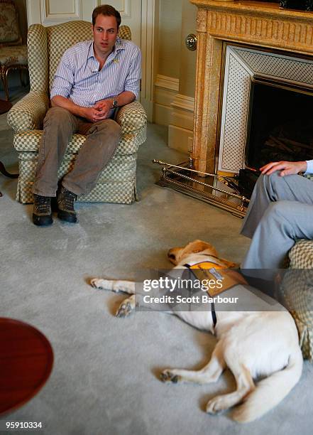 Prince William talks with the Governor of Victoria, Professor David de Kretser as his dog lies on the floor at Government House on the third and...