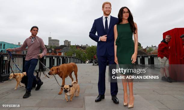 Pedestrian walks dogs past waxwork figures of Britain's Prince Harry and his US fiance Meghan Markle, during a photo oportunity arranged by Madame...