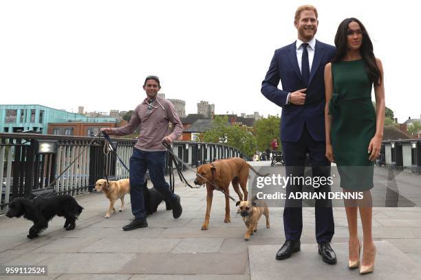 Pedestrian walks dogs past waxwork figures of Britain's Prince Harry and his US fiance Meghan Markle, during a photo oportunity arranged by Madame...