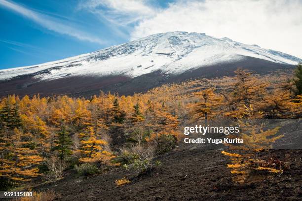 the summit of mt. fuji from oniwa (5th station) - yuga kurita stock pictures, royalty-free photos & images