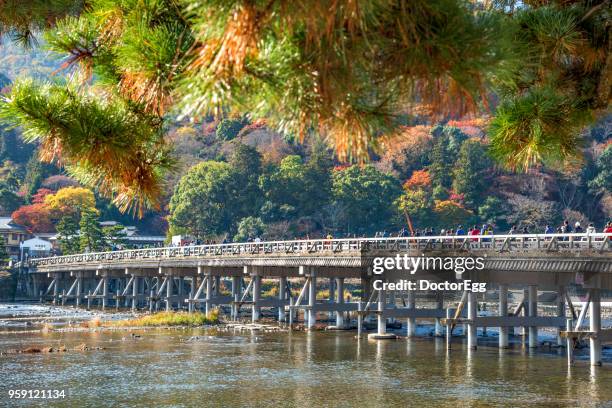 togetsukyo bridge in autumn, kyoto, japan - 渡月橋 ストックフォトと画像