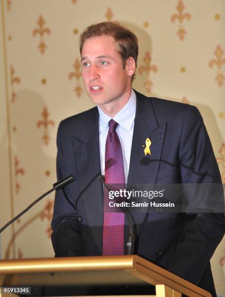 Prince William gives a speech at Government House on the third and final day of his unofficial visit to Australia on January 21, 2010 in Melbourne,...