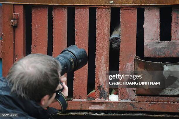 Staff member of the Animals Asia Foundation takes photos of rescued bears being transported on one of three trucks carrying 19 bears from the...