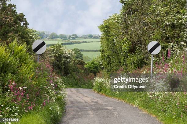 national speed limit applies signs in country lane - overgrown hedge stock pictures, royalty-free photos & images