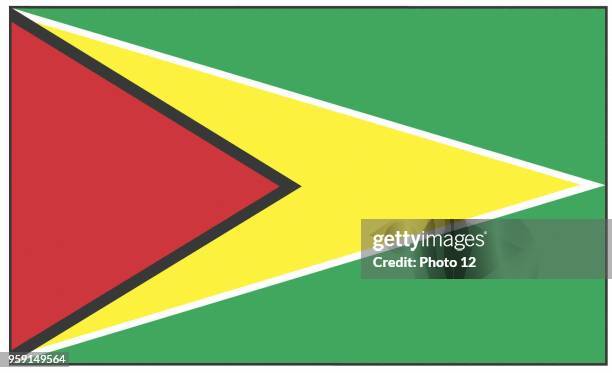 Flag of Guyana.