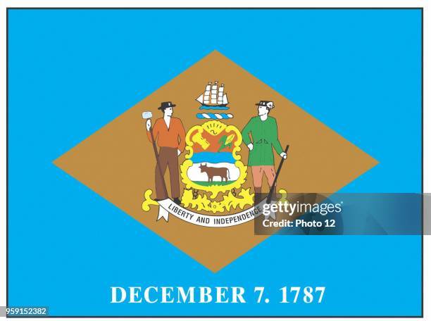 Delaware state flag.