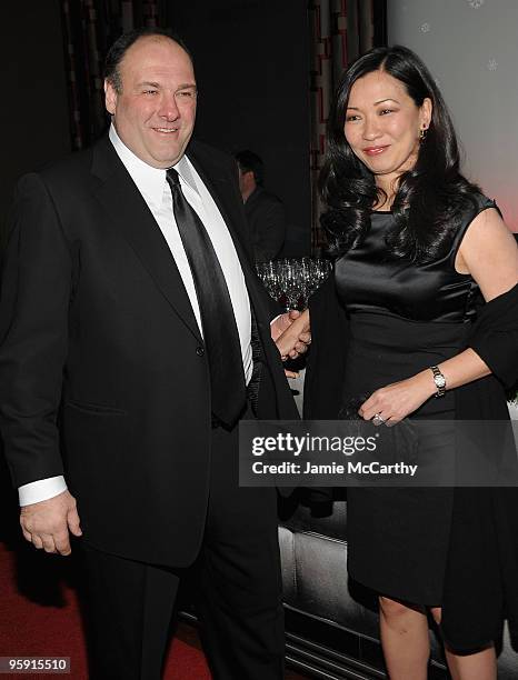 James Gandolfini and Deborah Lin attend the 2009 New York Film Critic's Circle Awards at Crimson on January 11, 2010 in New York City.