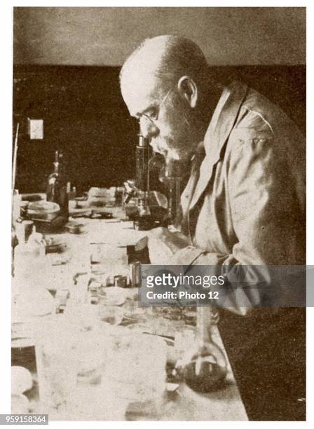 Robert Koch isolated the bacterium tubercle bacillus, the microbe responsible for tuberculosis and invented tuberculin, a means of detecting this...