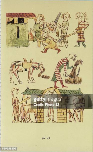 The Sachsenspiegel, by Eike von Repkow, around 1330, settled all legal aspects of daily life in Germania. A traveller could for instance take wheat...